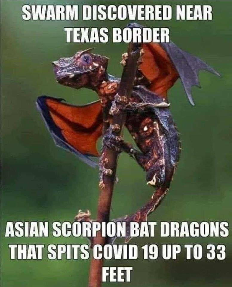 1595560014667.png