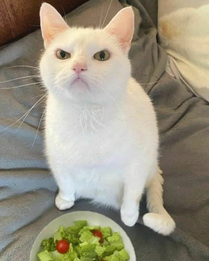 1656560138395.png
