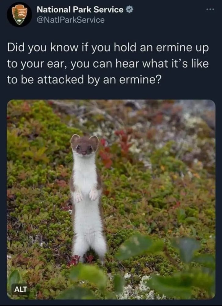 1685330657305.jpeg
