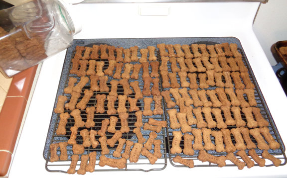 2 20 15 Dog Cookies 01 email.JPG