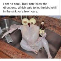 200x200px-ZC-925ab009_funny-amature-cook-chicken-recipes-540x520.jpg
