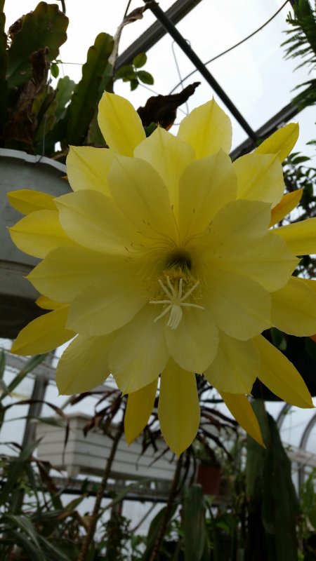 20150520_105257.jpg