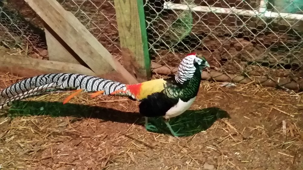 20151112_165623.jpg