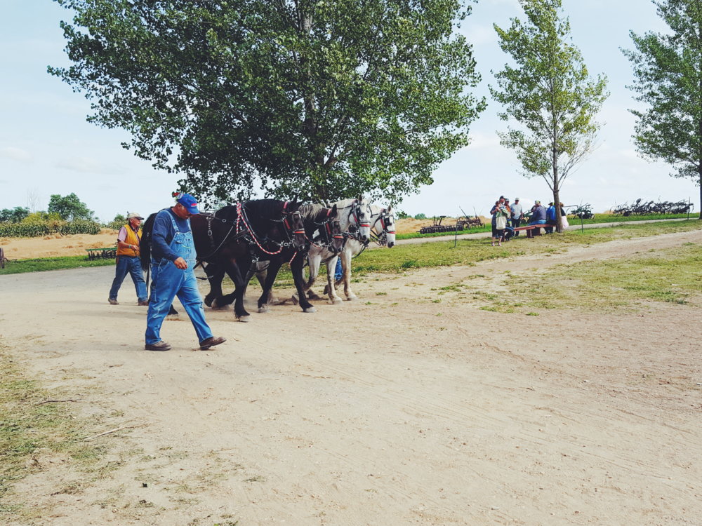 2016-09-04 07.37.13 1.jpg