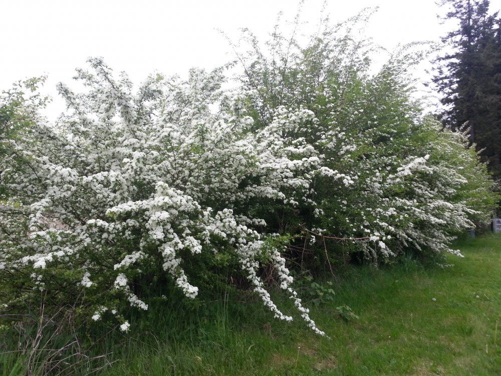 20160426_185542.jpg