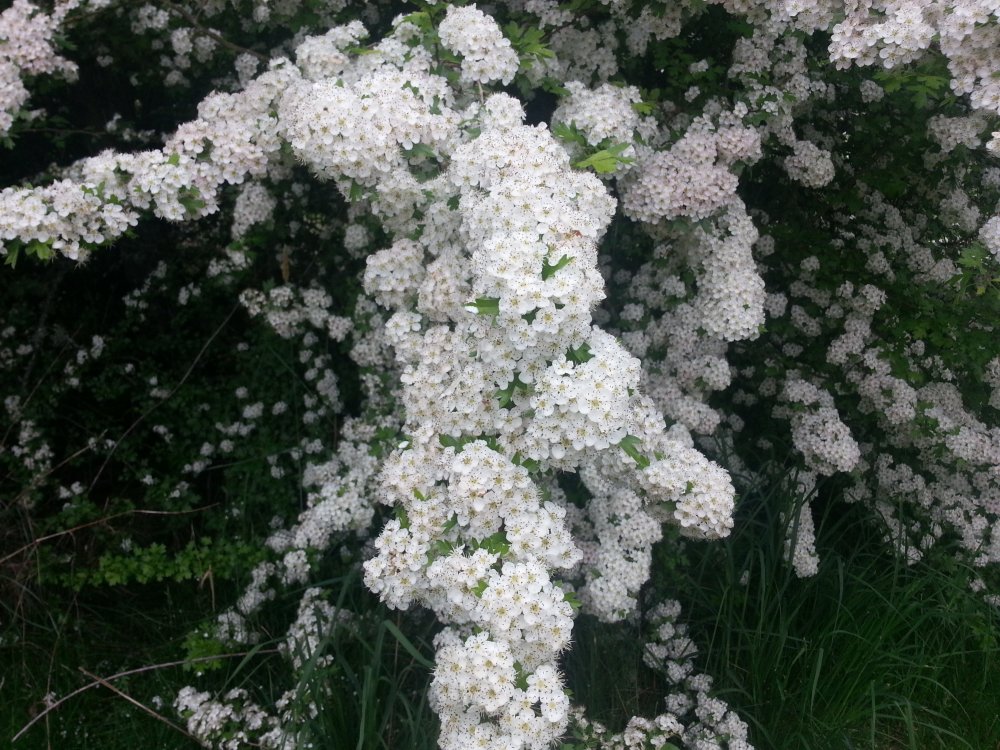 20160504_143255.jpg