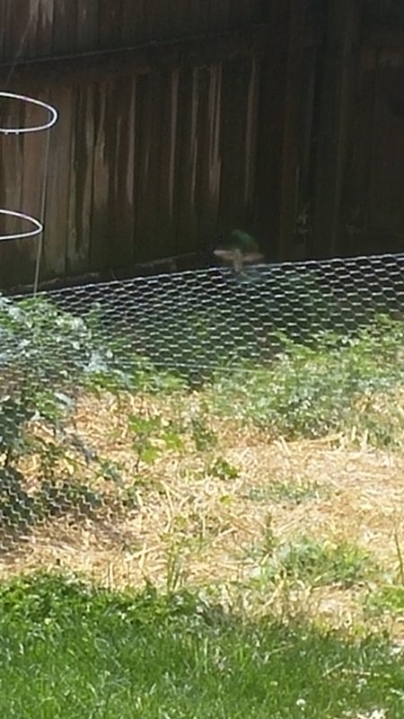 20160612_144128.jpg