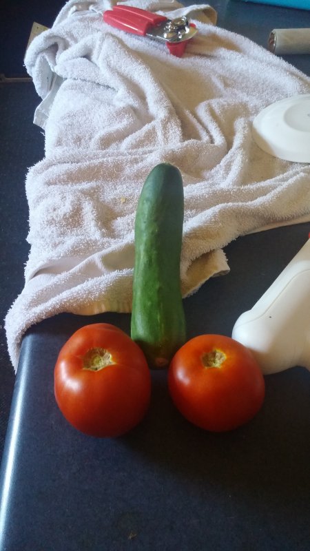 20160625_104543.jpg