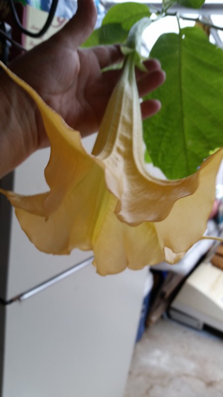 20161120_145045.jpg