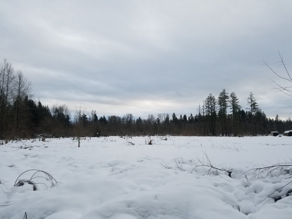 20170207_163916.jpg