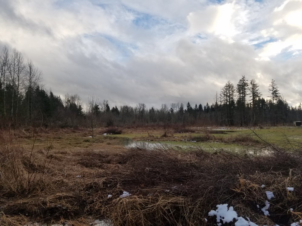 20170209_163904.jpg