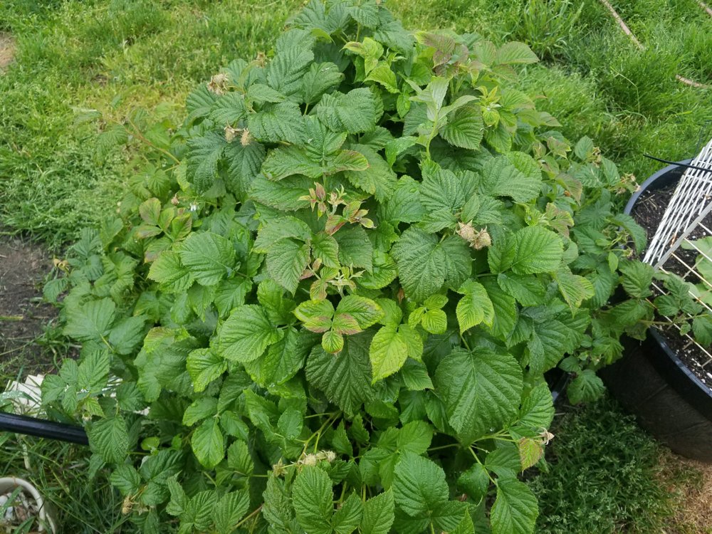 20170608_202422.jpg