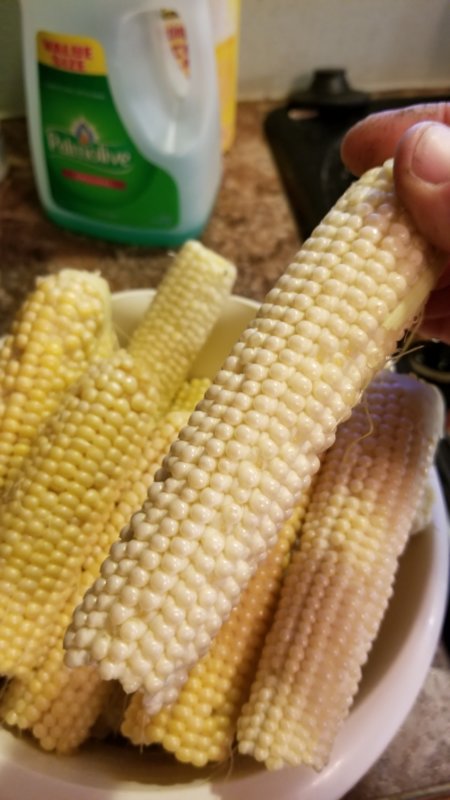 20170709_195635.jpg