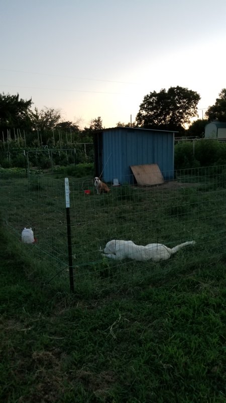 20170711_205822.jpg