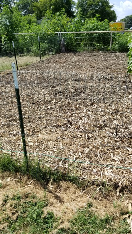 20170723_145828.jpg
