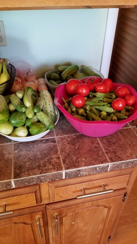 20170730_154412.jpg