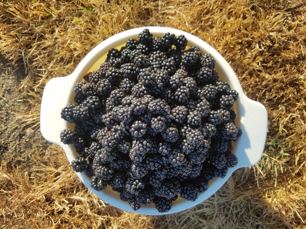 20170817_183114.jpg