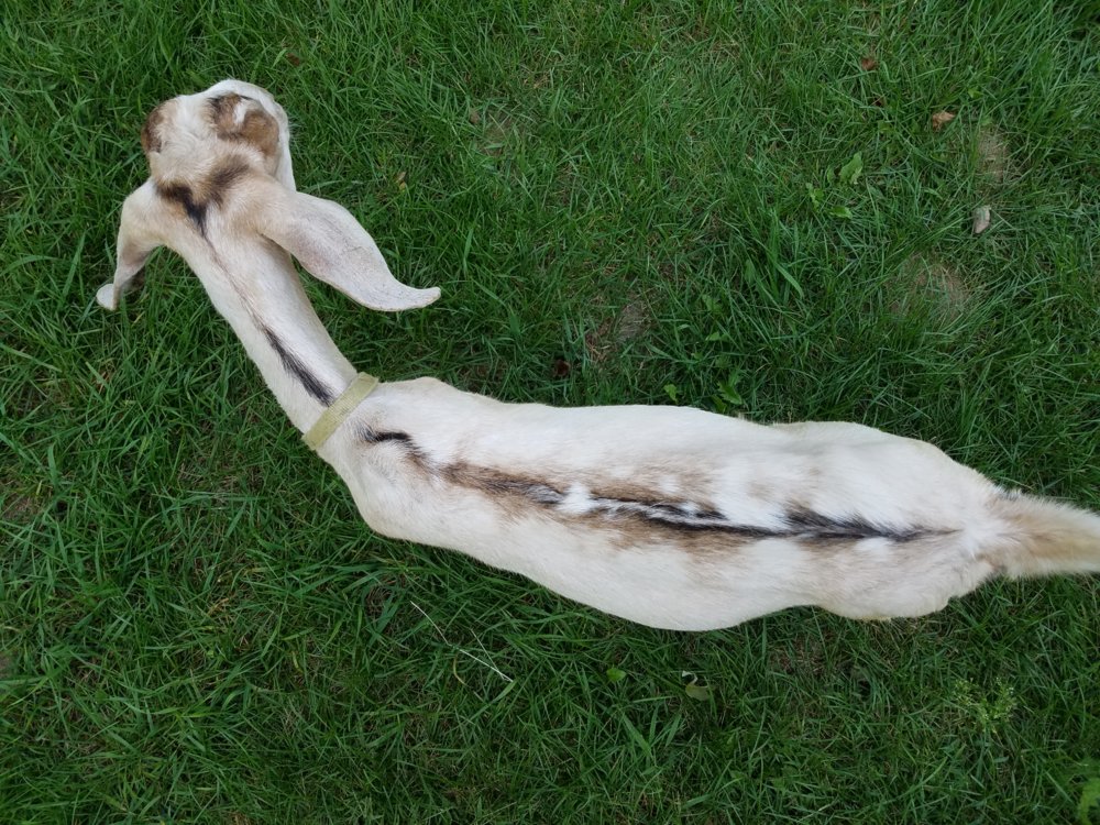 20170830_175225.jpg