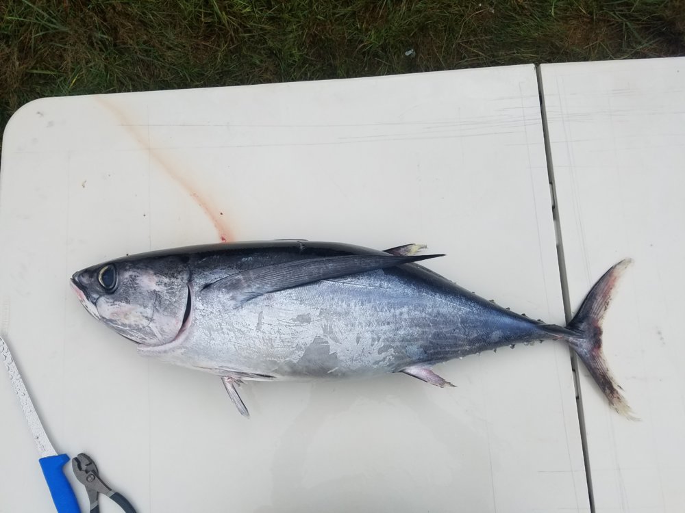 20171001_123838.jpg