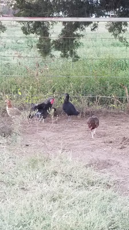 20171026_183103.jpg
