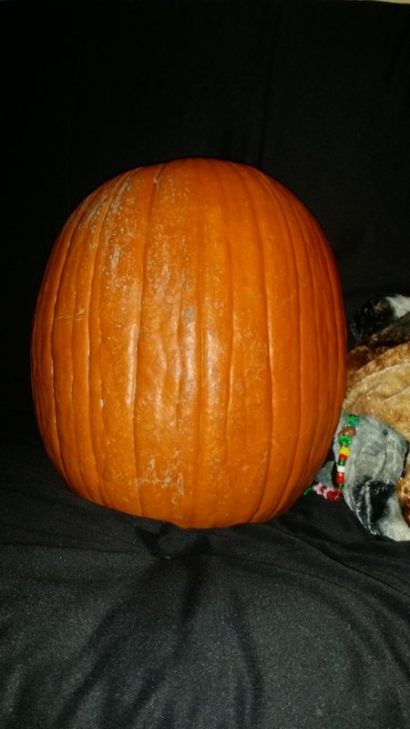 20171109_174508.jpg