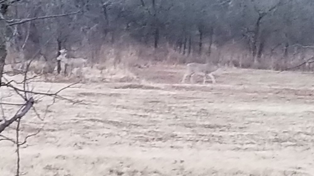 20180107_170737.jpg