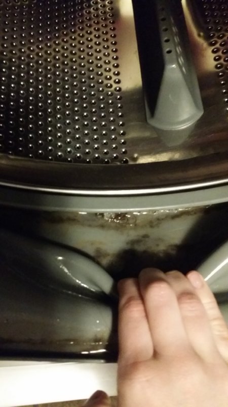 20180113_142100.jpg
