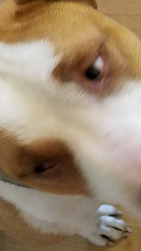 20180114_135517.jpg