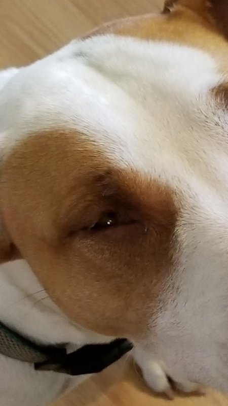 20180114_135520.jpg