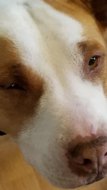 20180114_135524.jpg
