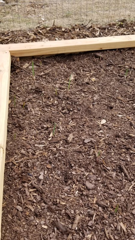 20180203_132746.jpg