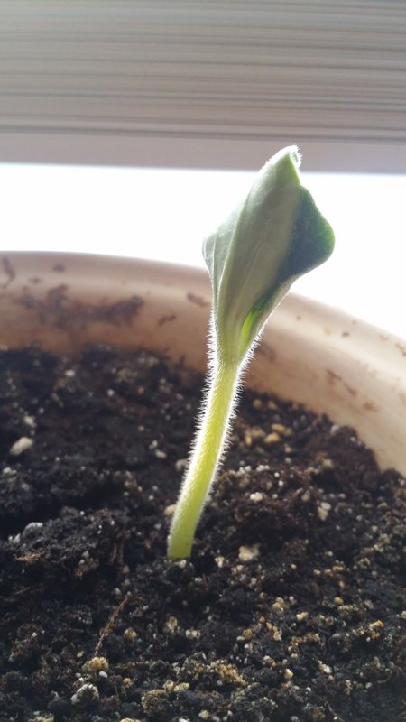 20180210_171837.jpg