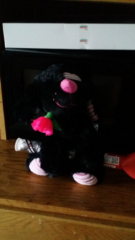 20180213_080406.jpg