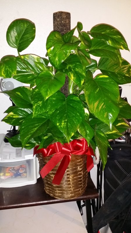 20180213_192632.jpg