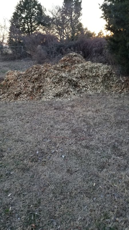20180214_180741.jpg