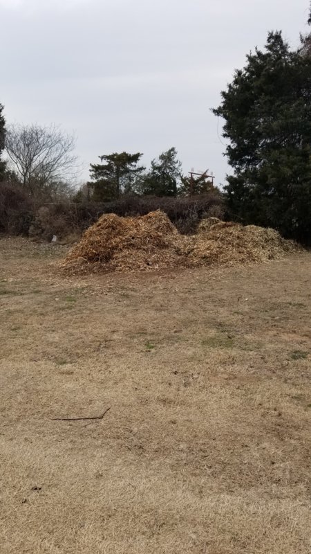20180215_165914.jpg