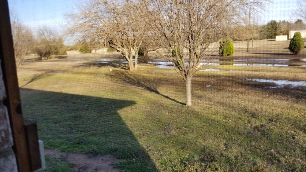 20180224_165351.jpg