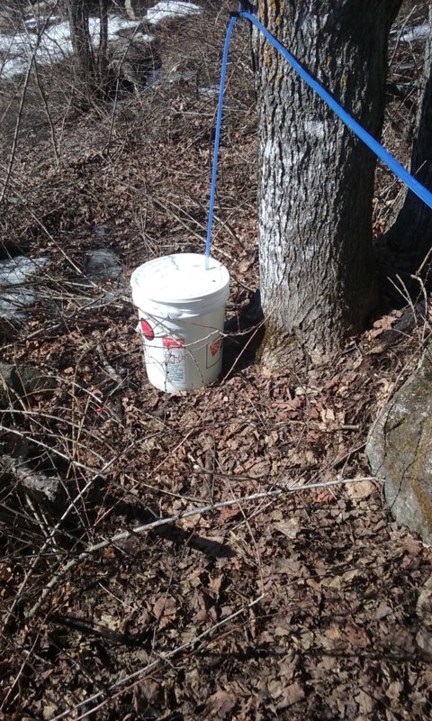 20180227_120345.jpg