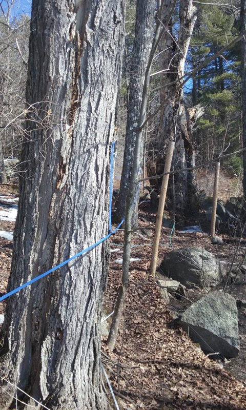 20180227_120440.jpg