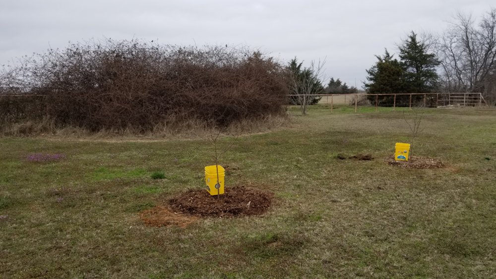 20180304_110926.jpg