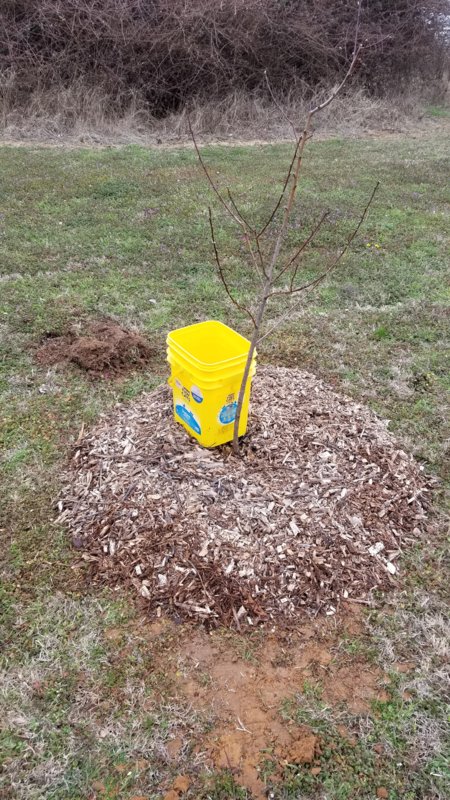 20180304_110940.jpg