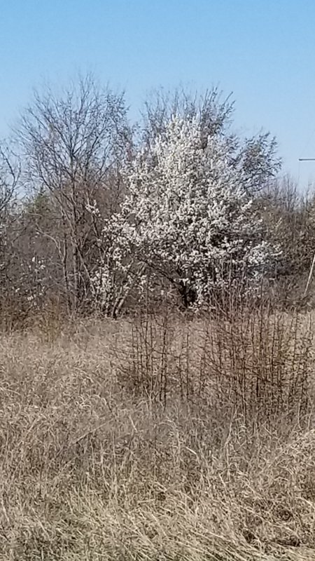 20180306_152221.jpg