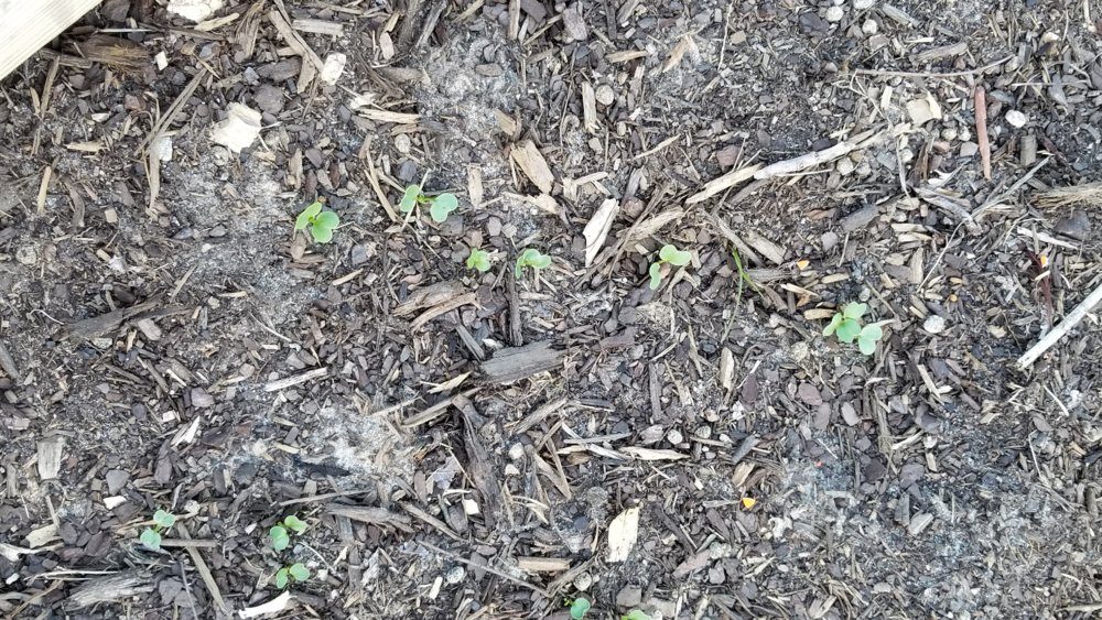 20180306_174655.jpg
