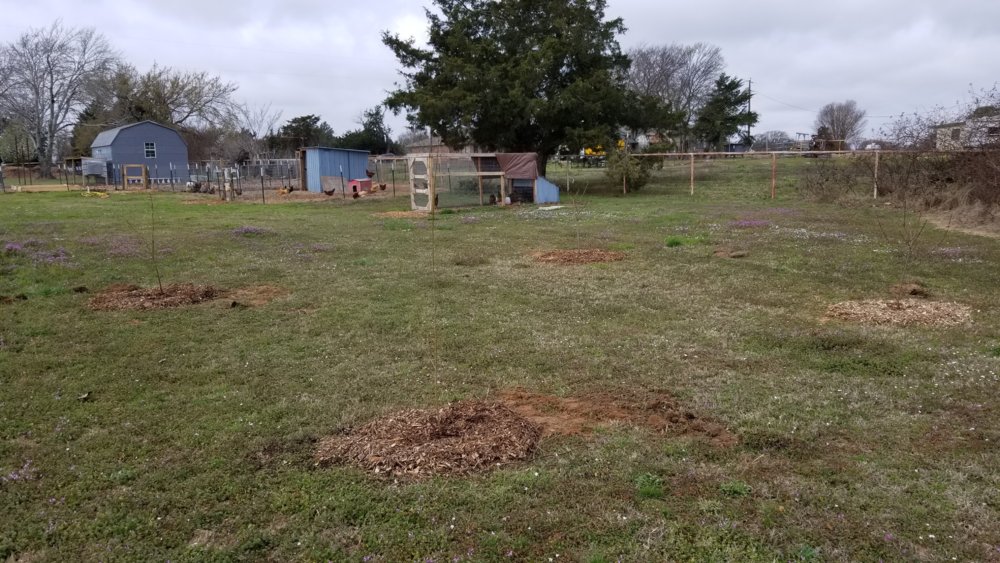 20180310_093047.jpg