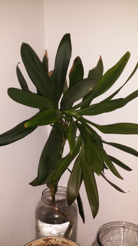 20180310_204332.jpg