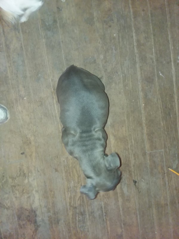 20180313_155628.jpg