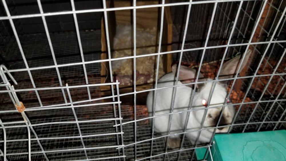 20180322_201351.jpg