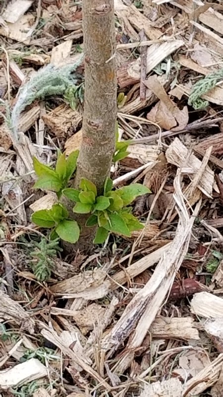 20180421_092649.jpg