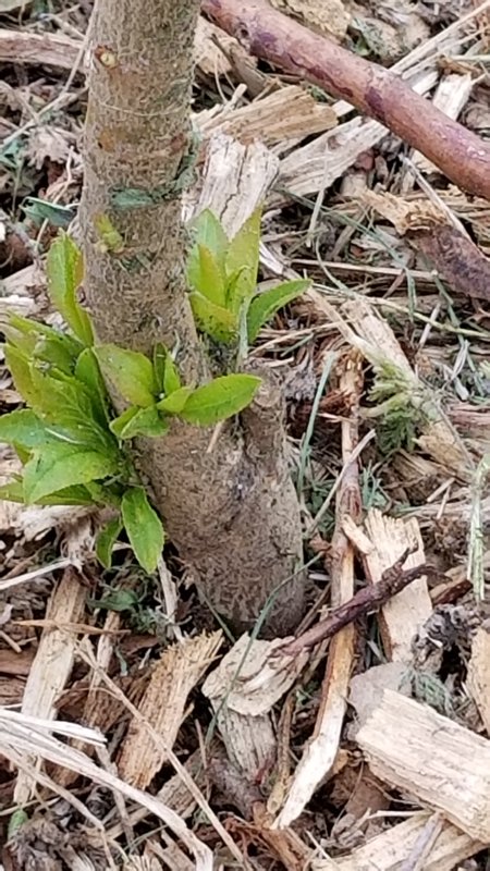 20180421_092706.jpg