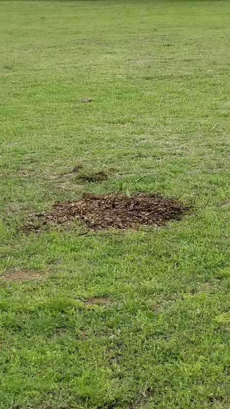 20180425_173514.jpg